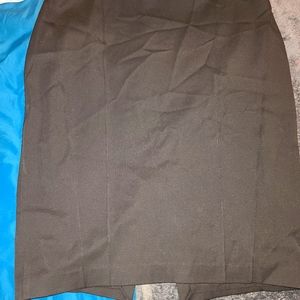 Express pencil skirt